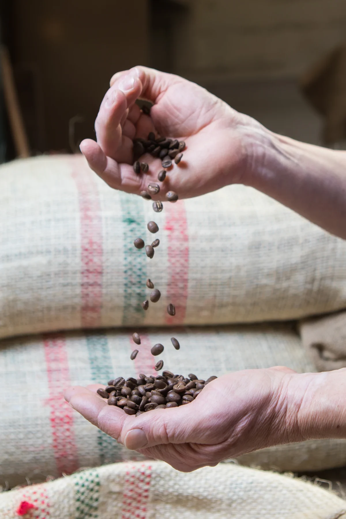 Des grains de café passent d’une main à l’autre.